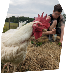 Wild Pines Sanctuary